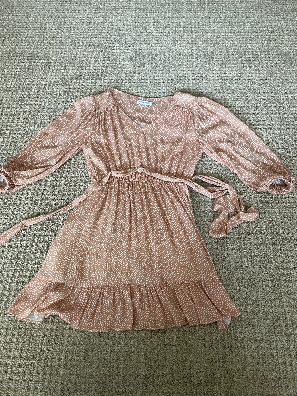 Petite V-Neck Dot Tie-Waist Mini Dress in Dusty Rose